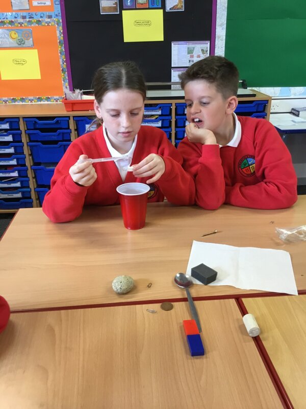 Image of Science in Year 5/6