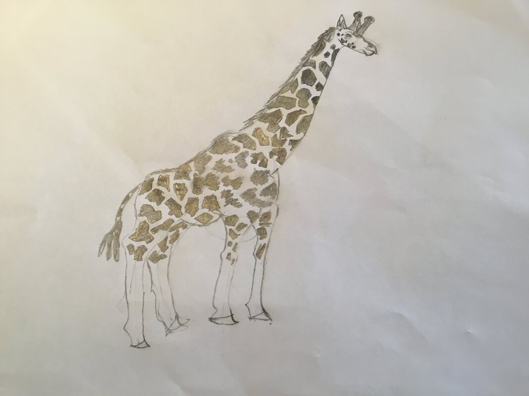 Image of Do you want to learn how to draw animals?